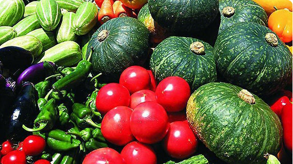 Food,Pharmaceuticals & Aaricultura Products